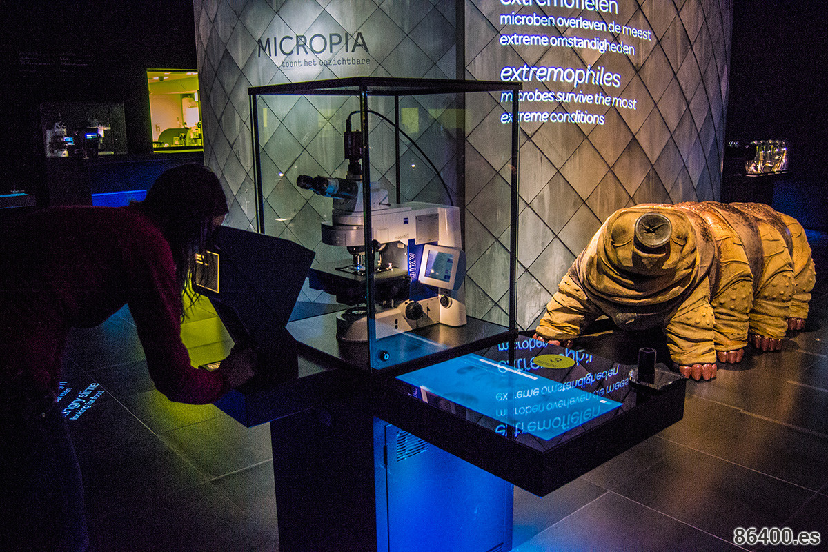 Nerea mirando por un microscopio en Micropia - Recomendaciones Amsterdam