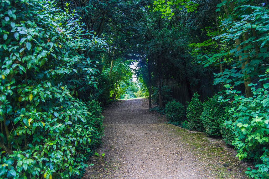 Camino frondoso en los Jardines de Versalles – Palacio de Versalles desde París
