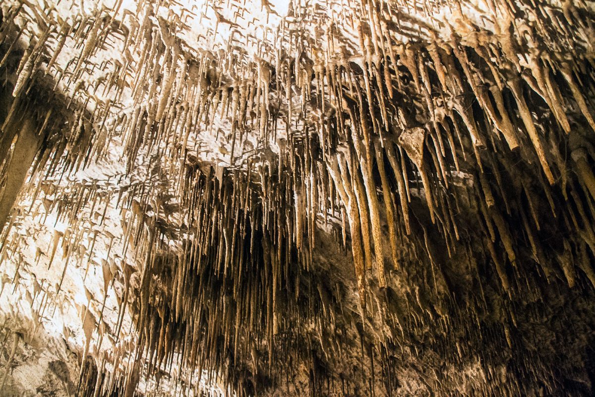 Cuevas del Drach (2) - qué ver en Mallorca
