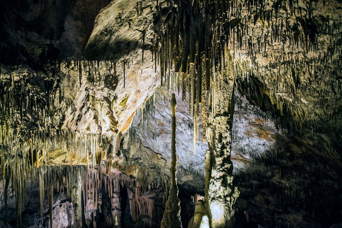 Cuevas del Drach (3) - qué ver en Mallorca