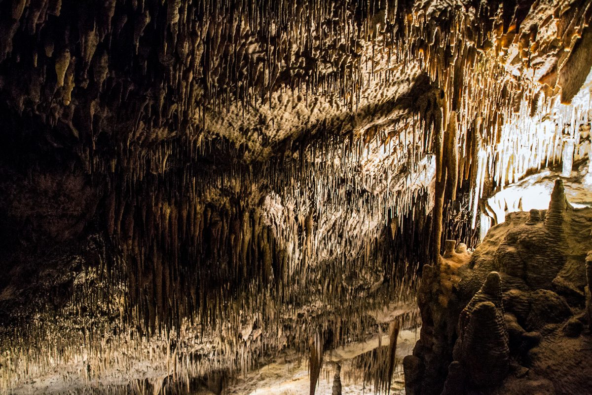 Cuevas del Drach (4) - qué ver en Mallorca